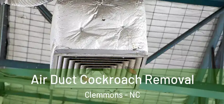  Air Duct Cockroach Removal Clemmons - NC