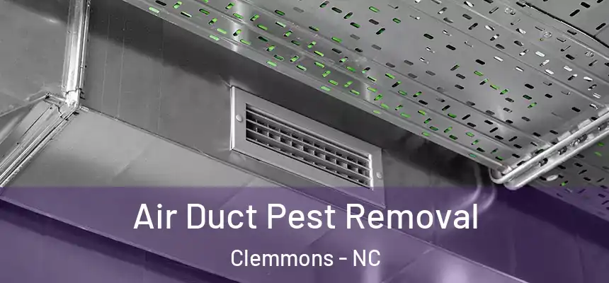 Air Duct Pest Removal Clemmons - NC
