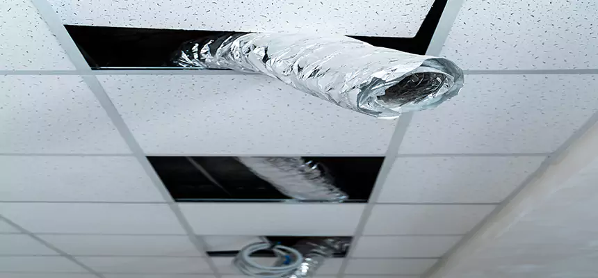 Our Air Duct Pet Hair Removal Services in Clemmons, NC