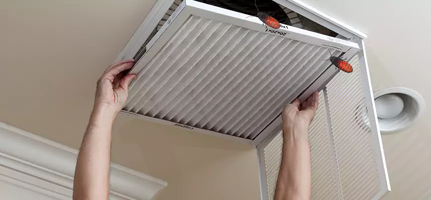 Our Insect Removal from Air Ducts Services in Clemmons, NC