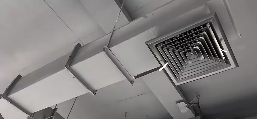 Our Pest Removal From Ducts Services in Clemmons, NC