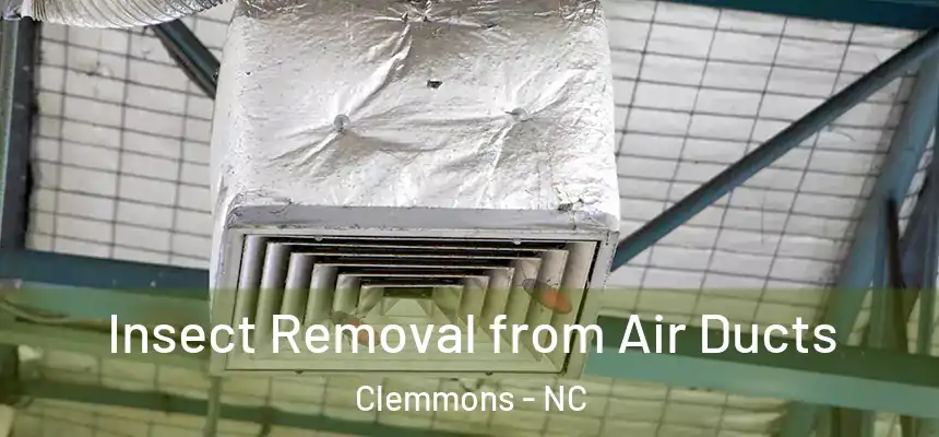 Insect Removal from Air Ducts Clemmons - NC