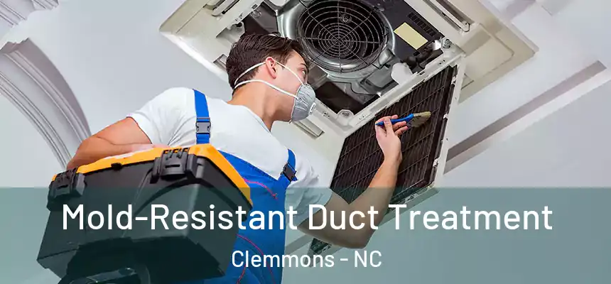 Mold-Resistant Duct Treatment Clemmons - NC