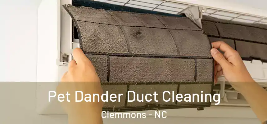 Pet Dander Duct Cleaning Clemmons - NC
