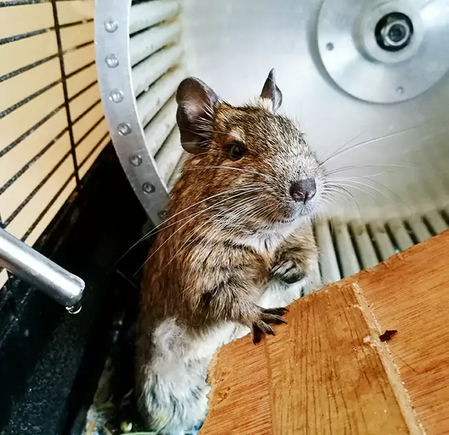 Why Homeowners & Businesses Trust Us Clemmons, NC