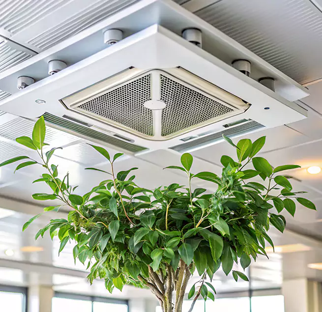 Why Homeowners & Businesses Trust Us in Clemmons, NC?